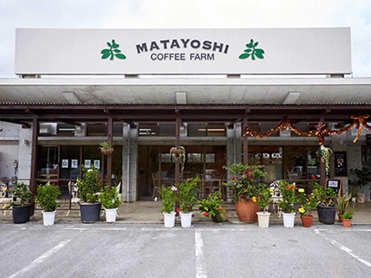 Villa Matayoshi Coffee Farm Higashi Esterno foto