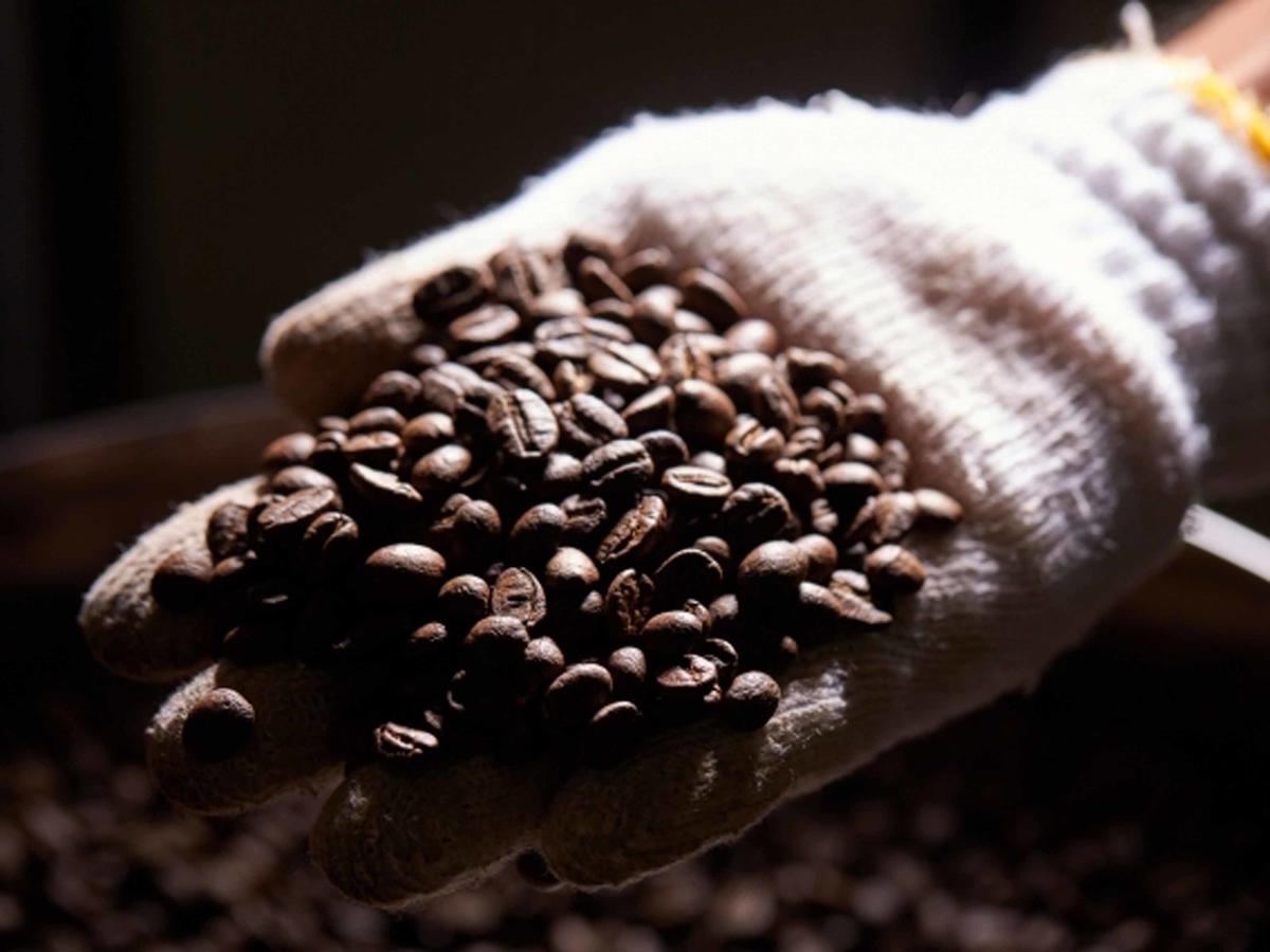 Villa Matayoshi Coffee Farm Higashi Esterno foto